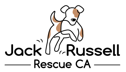 Jack Russell Terrier Rescue-Jack Russell Rescue CA